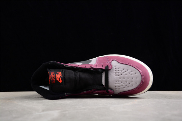AIR JORDAN 1 HIGH ELEMENT GORE-TEX 