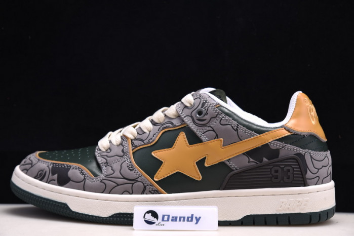 BAPE Shoe